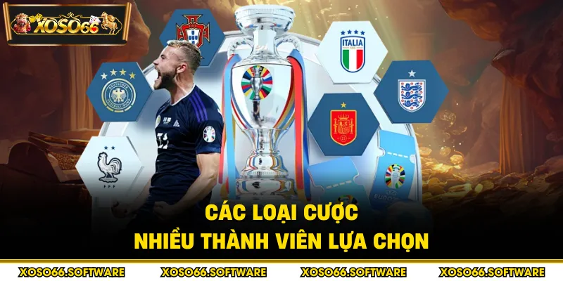 Các loại cược nhiều thành viên lựa chọn
